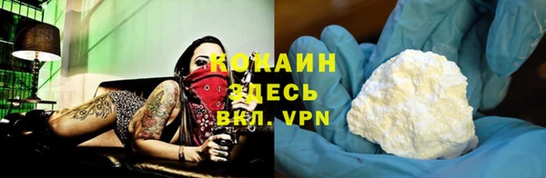 шишки Карпинск