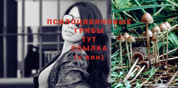 шишки Карпинск