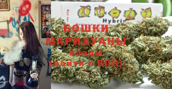 прущие крисы Каменногорск