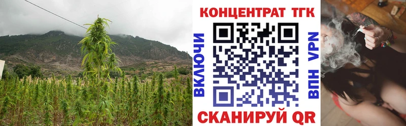 Купить где  Вятские Поляны  ТГК концентрат 