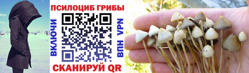 Псилоцибиновые грибы Psilocybine cubensis Купить где Вятские Поляны